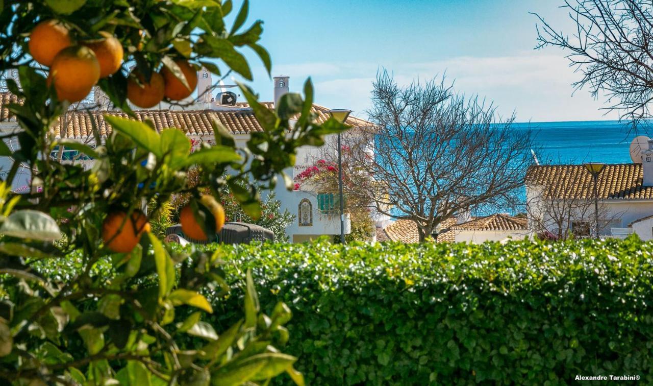 C12 - Sunshine Apartment In Luz Exterior foto